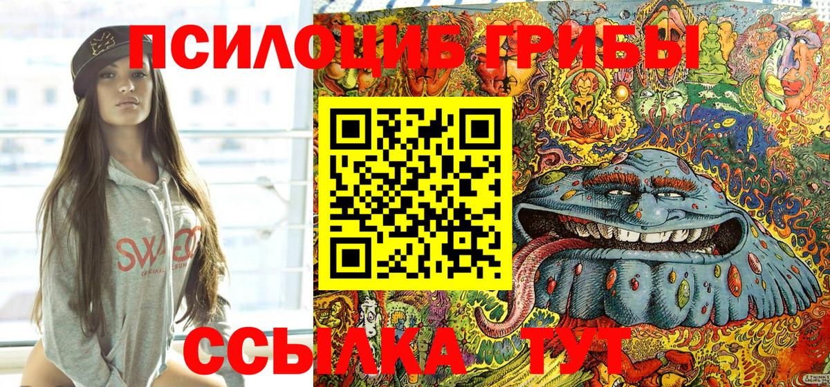Ногинск  Галлюциногенные грибы Magic Shrooms  Псилоцибиновые грибы ЛСД  где можно купить   Вход с VPN 